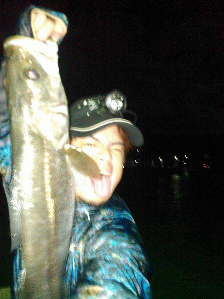 常夜灯ナイトシーバス